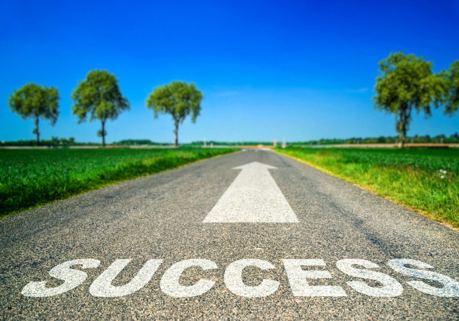 Road to success with arrow and trees.